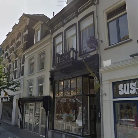 De Bronzen Koets 3* 奈梅亨