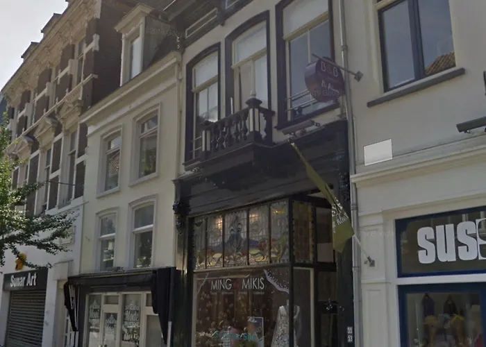 De Bronzen Koets 3* 奈梅亨